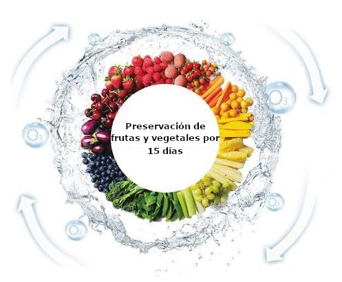 933-10 Ozonificador para Aire y Agua - Imagen 5