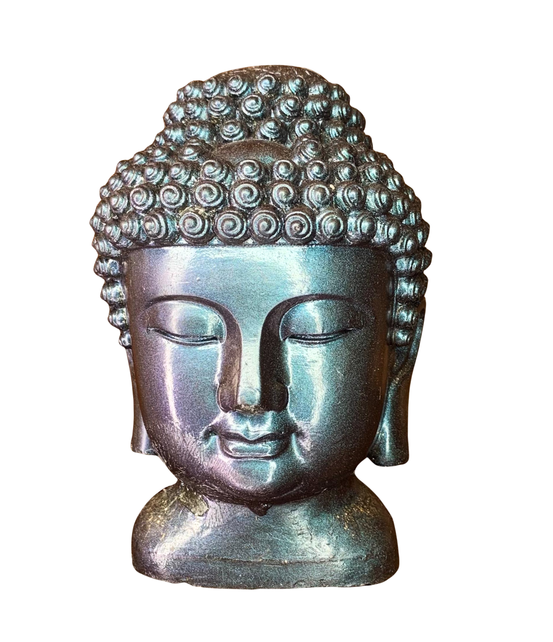 cabeza de buda tornasol cabeza de buda tornasol