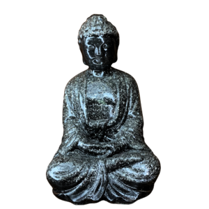 orgón buda meditación